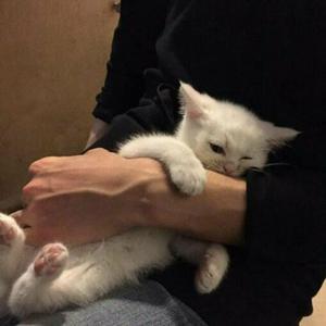 appp69亚洲女护士
